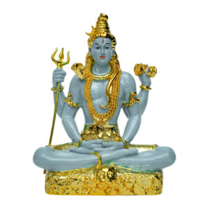 Divine Dhyan Mahadev