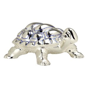 Silver Tortoise