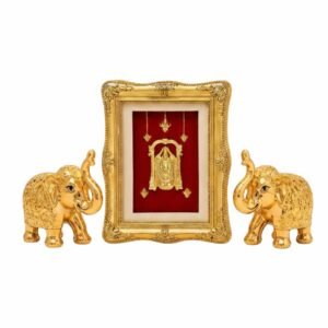 Balaji with Elephants