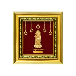 Udipi Krishna